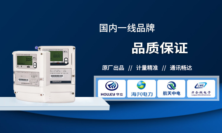 遠(yuǎn)程預(yù)付費(fèi)智能電能表